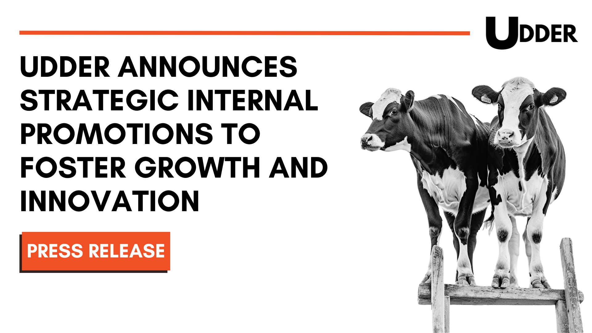 Udder announces internal promotion
