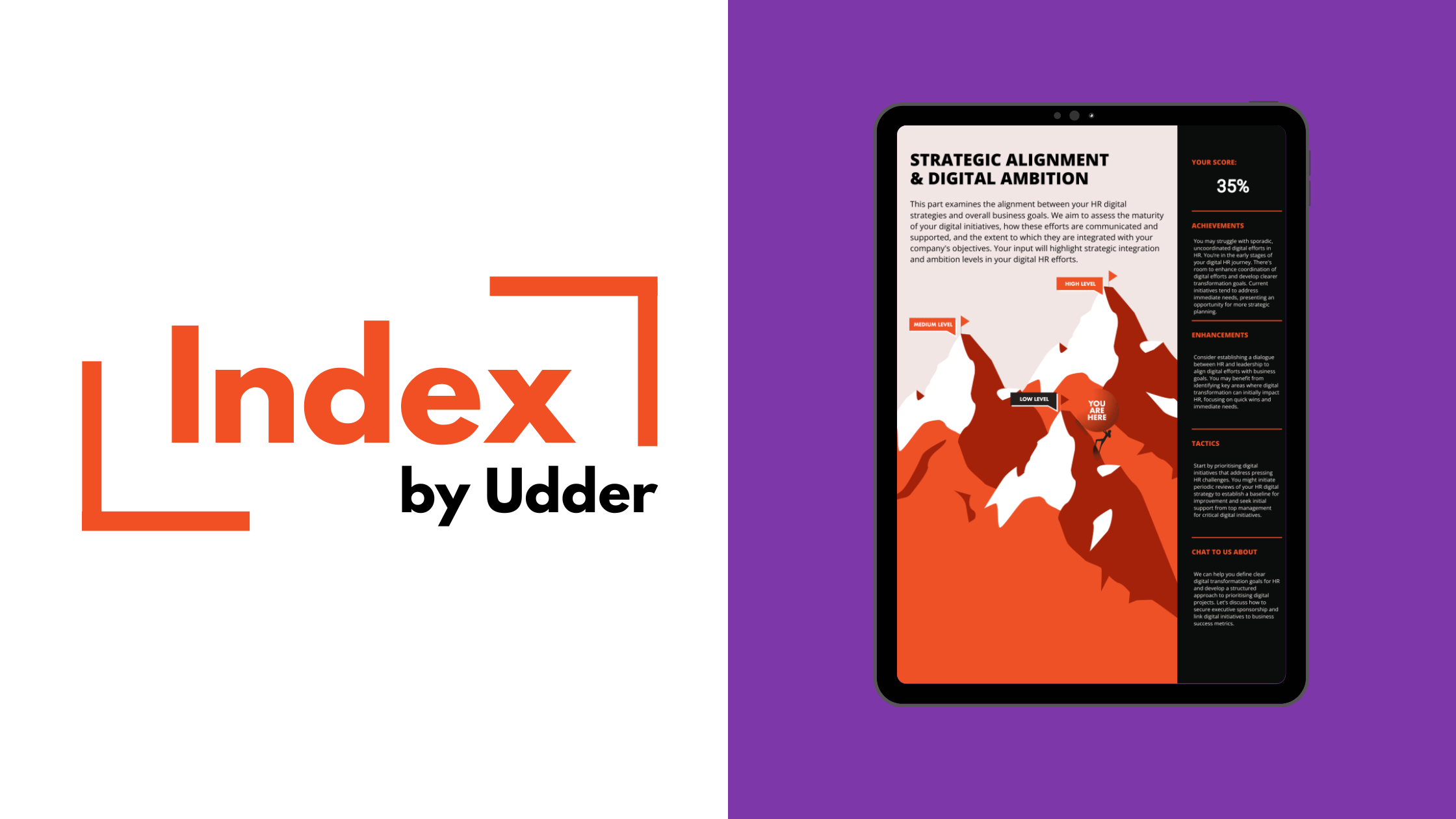 Aligning HR Strategy with Business Goals: The Role of Digital Maturity